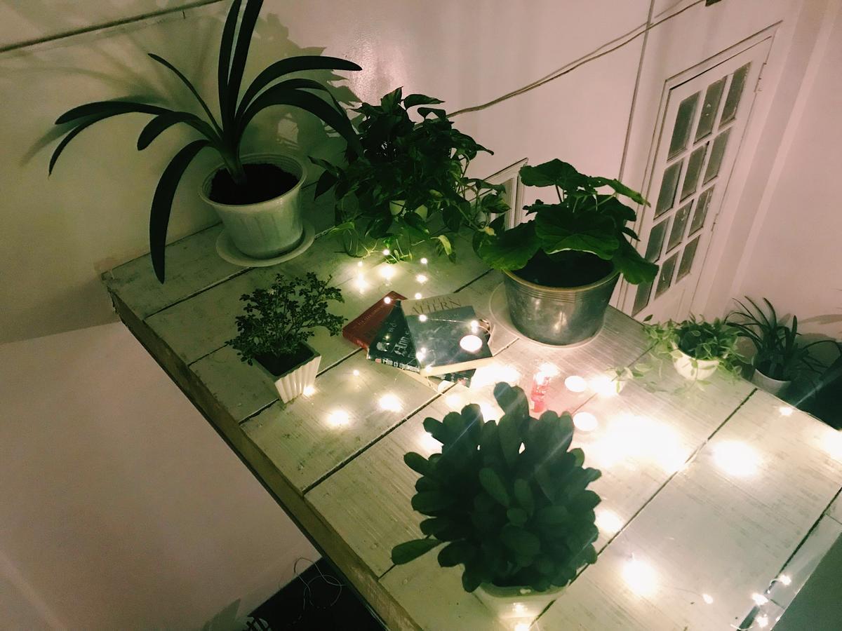 The Balcony Bnb Da Lat Eksteriør billede